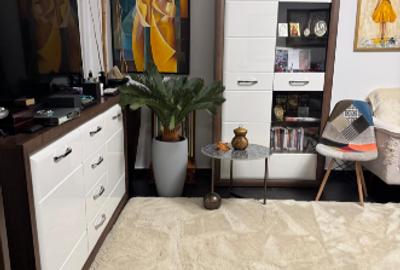 Apartament Calea Moșilor - 3