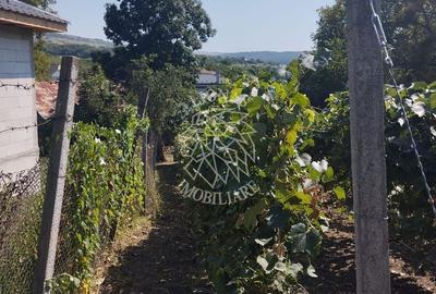 Teren intravilan 2828 mp+autorizatie casa-anexe-livada-Dorolea - 5