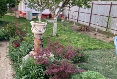 Casa -Vila  in Lilieci  Bacau - 13