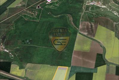 Teren extravilan Murfatlar 108.480 mp Deschidere directa A2 Autostrada Soarelui - 1