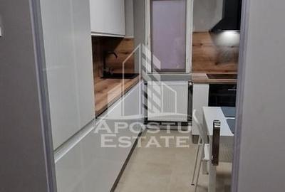 Apartament cu 2 camere de inchiriat,petfriendly,Take Ionescu,Timisoara - 12