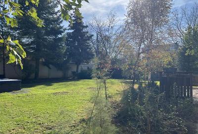 Vila la marginea padurii | curte superba | Iancu Nicolae - 21