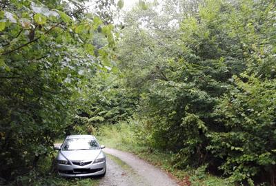 Proprietate rară în inima Retezatului – 5.700 mp teren intravilan - 10