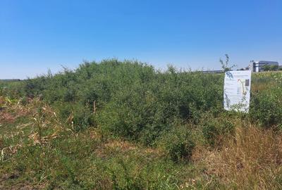 Teren de vanzare – Locatie strategica langa aeroport - 6