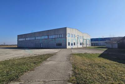Hala Industriala de vanzare 6500 mp in Madaras la 30 km de Oradea, Bihor - 15