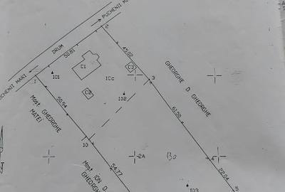 Ploiesti Puchenii Mari - Odai, la 15 km de Ploiești și 40 km de Buc - 7