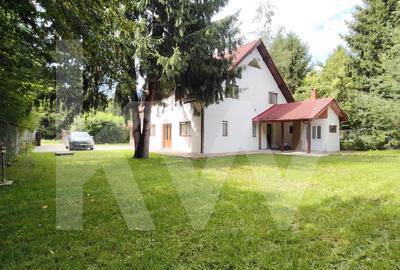 Vila de poveste din Valea Avrigului de vanzare - 12