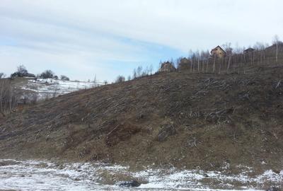 Moeciu, Drumul Carului, teren 3750 mp, 75000 euro - 11
