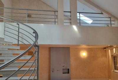 Vila cu arhitectura reprezentativa, aproape de Piata Victoriei - 19