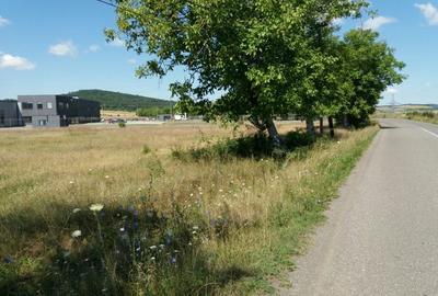 Teren pentru constructie fabrica , 4 ha -215000 euro - 1