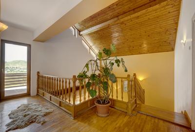 Casa de vacanta cu teren 5394 mp, Pucioasa, Dambovita - 7