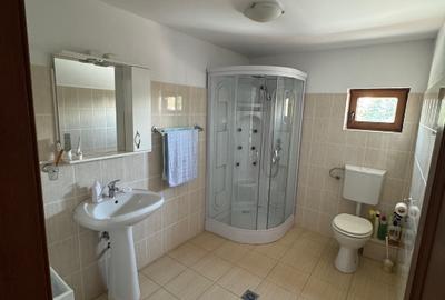 Vand Casa + Teren, Lunguletu/Dambovita, P+1, Toate Utilitatile, Complet Mobilata - 10