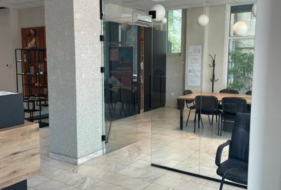 Ultracentral - Ferdinand, spatiu comercial 167 mp. - 9