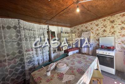 Casa 4 Camere, Parter, Runcu - Baltisoara - 6