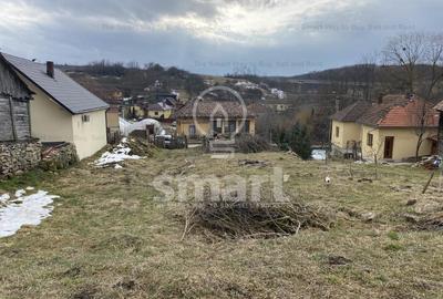 Teren intravilan cu CF 5400mp front 17 Savadisla jud Cluj - 16