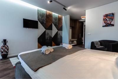 Apartament tip studio, 36mp + 7mp balcon, etaj intermediar, zona West Side - 3