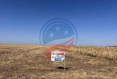 Teren intravilan de vanzare in Pielesti - 1