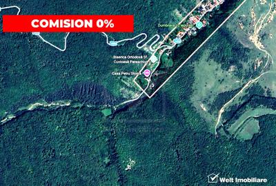 OCAZIE | 5755 mp PĂDURE matura in Stolna | Utilități 200m | Front 17m la drum | - 1