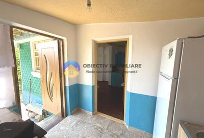 CASĂ + teren 4500 mp DRAGOMIREȘTI, judetul Neamț - 14