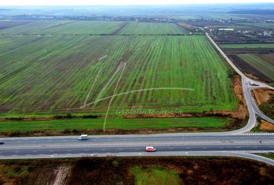 Teren intravilan curti-constructii, industrial, Autostrada A1 - km 62 - 12