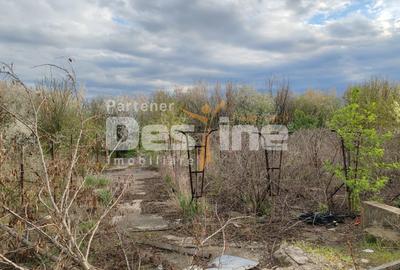 Domeniu teren si constructii, Muntenii de Sus, DN 24, Vaslui - 10