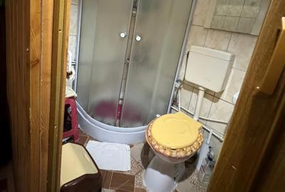 ZONA ALEXANDRU CEL BUN  -  CASA 4 CAMERE ,TEREN 216 MP - 9