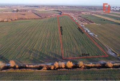 Teren extravilan arabil 50.890mp - aproape de centura Timisoara Sud - 1