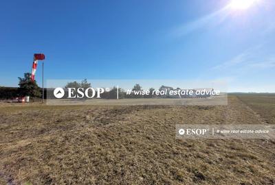 Teren de vanzare, Dascalu, ID 15402 - 15