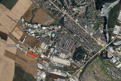 Teren agricol extravilan de 10000 mp, în Dragomirești-Vale