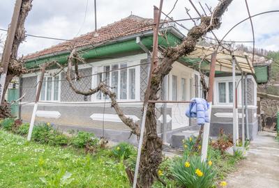 Acasă nu e un apartament. E pe Pietrosu nr. 8, în Zemeș. - 4