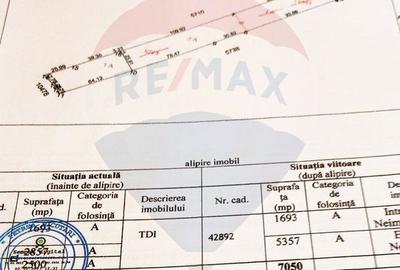 Teren intravilan, 7500 mp in Moara Carp / Strada Eternitatii-Suceava - 18
