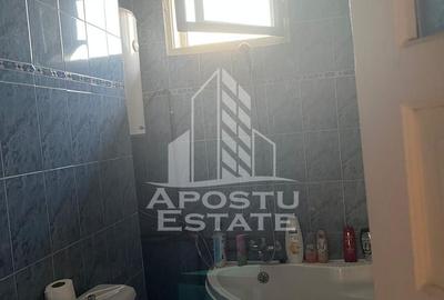 Casa individuala plus anexa, zona centrala in Faget - 17