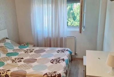 Inchiriere apartament 2 camere zona Theodor Pallady - Parcul Teilor - 3