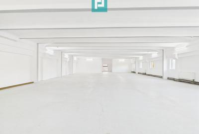 Spațiu comercial pe 2 niveluri - 2