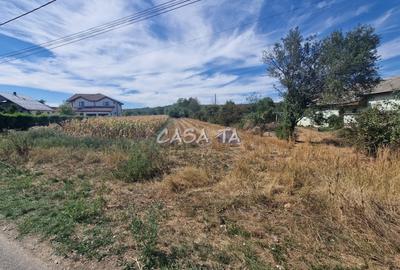 Teren Intravilan (2309 mp), situat in Turcinesti-Cartiu - 2
