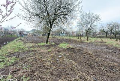 De vânzare 2 Case de vinificație cu Teren 4108 mp - Grădina Viilor - Carei - 18