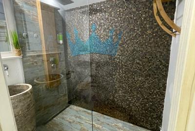 Apartament Duplex 3 Camere Cismigiu - 24
