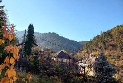 Apartament cu 3 camere circular în Centrul Istoric