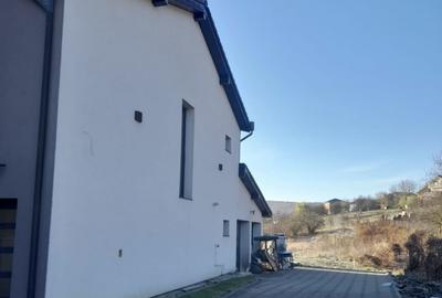 Case individuală, Dezmir, 2 garaje, 500mp teren - 2