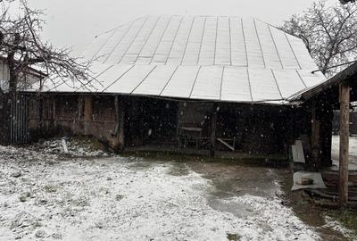 Vand gospodarie taraneasca traditionala - 11