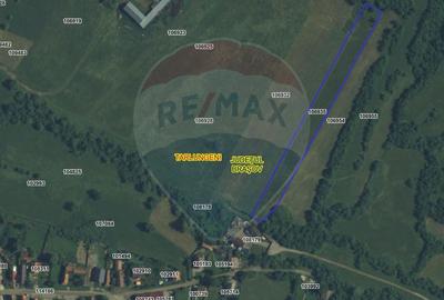 Teren 5.800 mp Purcareni curent, gaz, apă / Strada 30 decembrie - 9