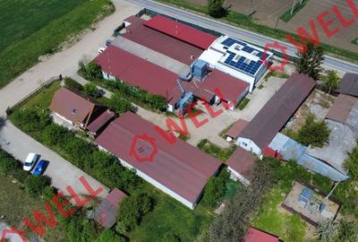 Hale industriale de vânzare în Valea Crișului! - 3
