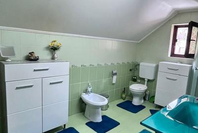 Casa de vanzare in Micesti pe 2 nivele si demisol cu garaj - 6