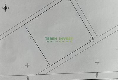TEREN INDUSTRIAL 20.000 MP - TÂNGANU - A2 PUZ APROBAT - 5