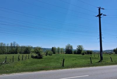 INTRAVILAN DE VÂNZARE | TISMANA, GORJ - 5