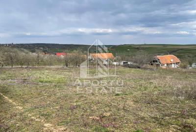 Teren intravilan pentru investitie, 2896 mp, Herneacova Timis - 4