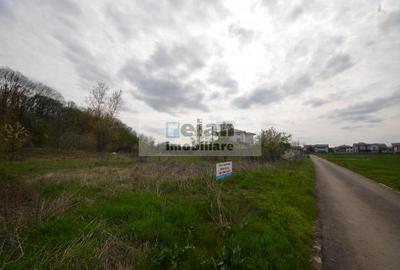 Snagov Crizantemelor Teren 3200mp, d 72ml, gaz, curent, asfalt, padure - 10