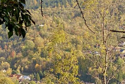 Teren retras panoramic cu panta lina, utilități si copaci mari - 9