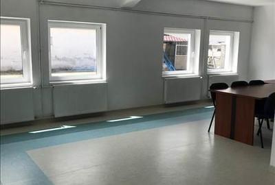Hala renovata, cu acces rapid la autostrada - 6
