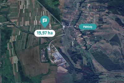 Teren extravilan agricol de 20 ha lângă Caransebes - 4